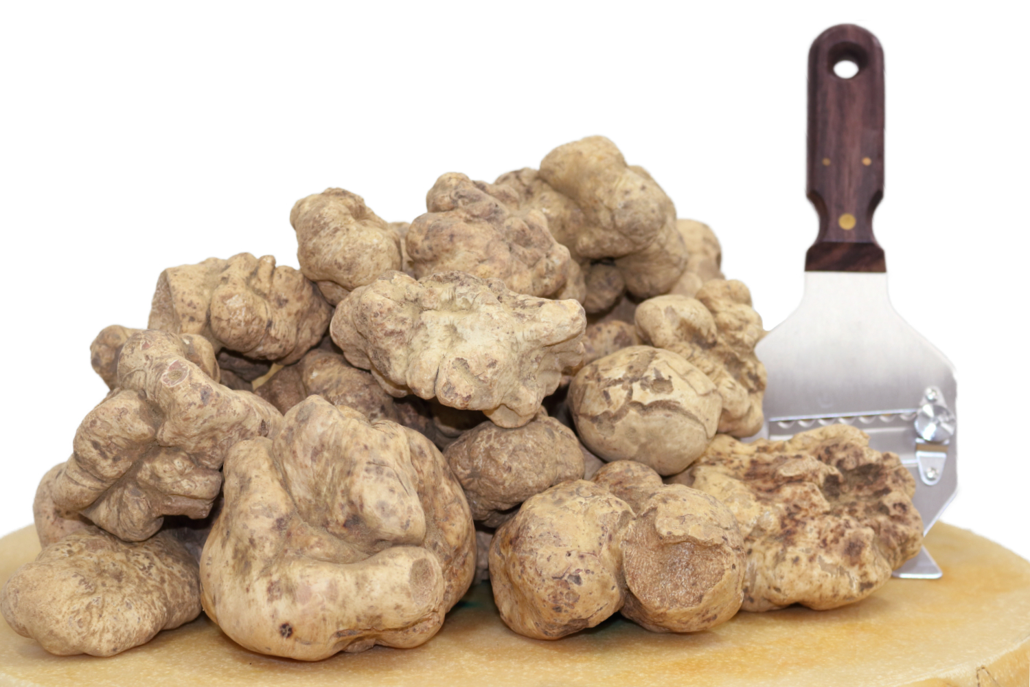 Fresh White Truffles